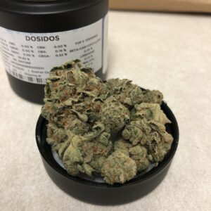 Buy Dosidos Strain in Australia