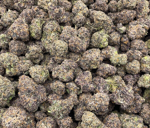 Buy Lemon Cherry Gelato Strain in Australia