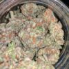 Buy Purple Punch strain in Australia